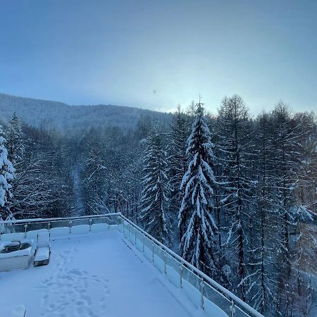 Apartament Kurort Kozubnik - Taras nad Potokiem Porąbka Eksteriør billede