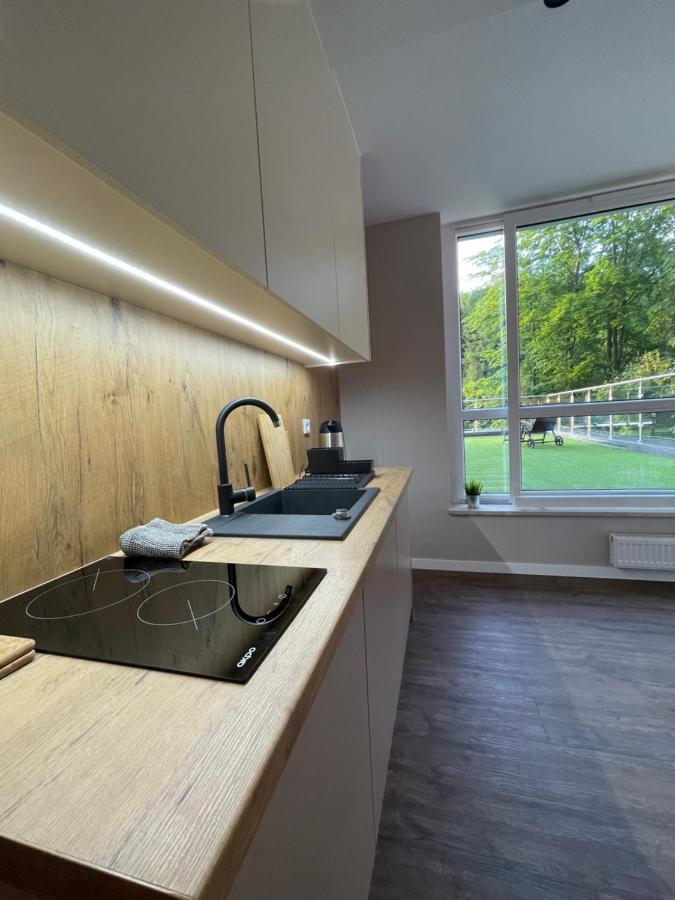 Apartament Kurort Kozubnik - Taras nad Potokiem Porąbka Eksteriør billede