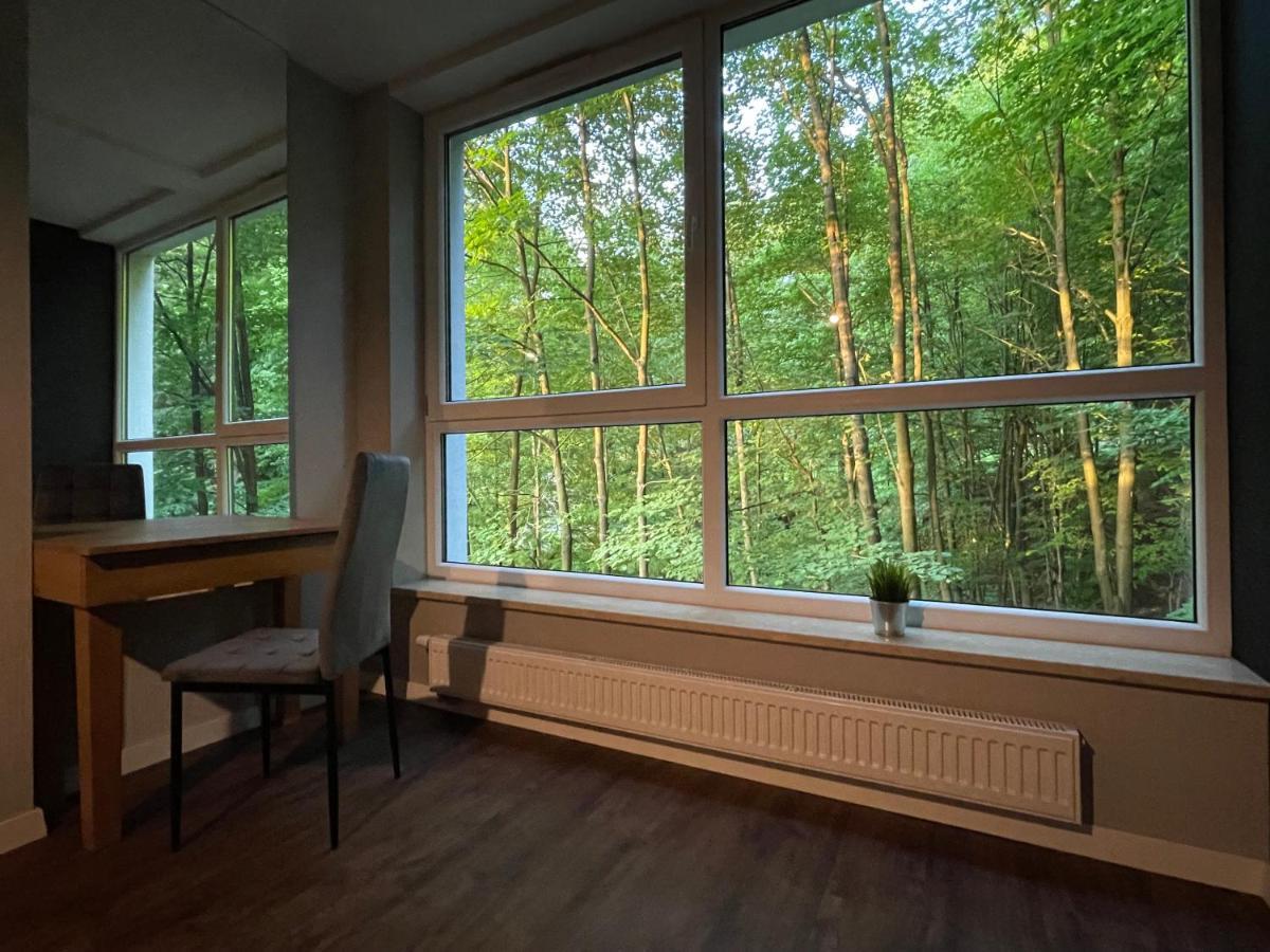 Apartament Kurort Kozubnik - Taras nad Potokiem Porąbka Eksteriør billede