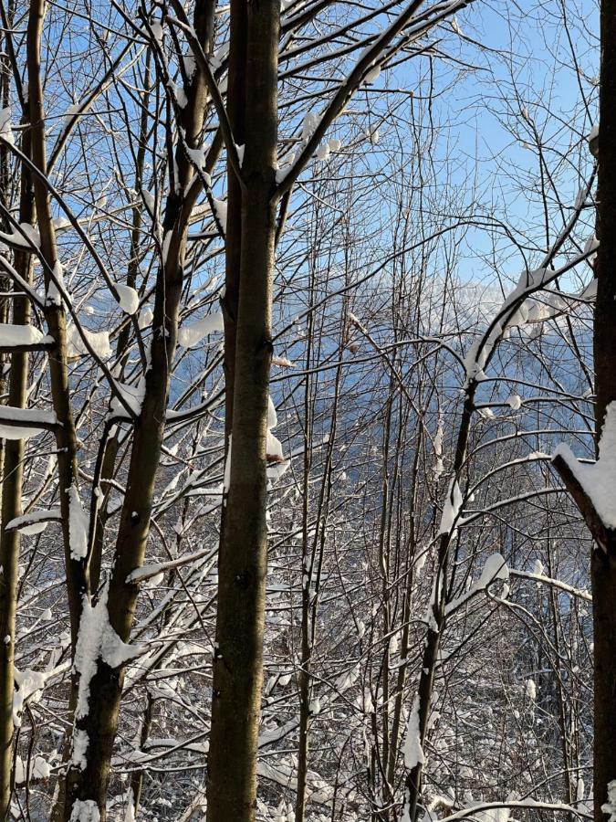 Apartament Kurort Kozubnik - Taras nad Potokiem Porąbka Eksteriør billede