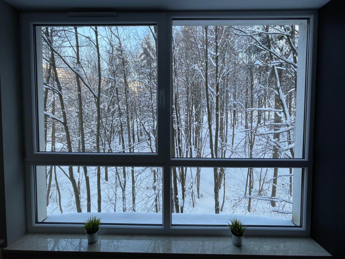 Apartament Kurort Kozubnik - Taras nad Potokiem Porąbka Eksteriør billede