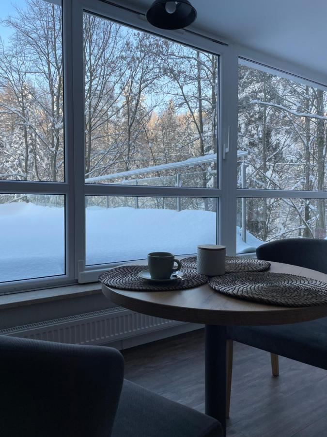 Apartament Kurort Kozubnik - Taras nad Potokiem Porąbka Eksteriør billede